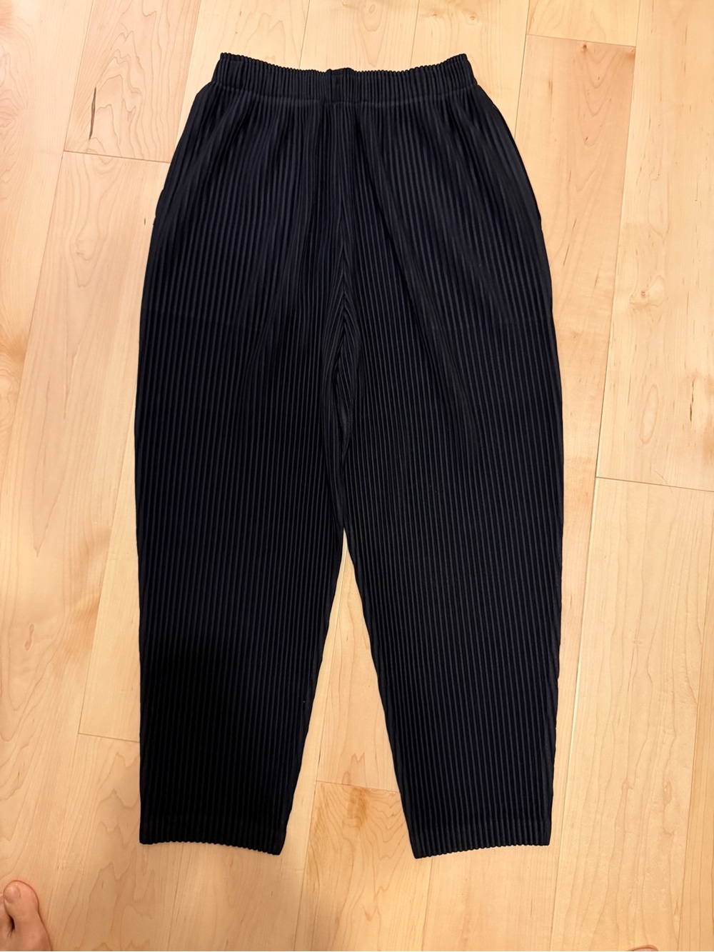 Black Pleated High-Rise Elastic Waist Pants